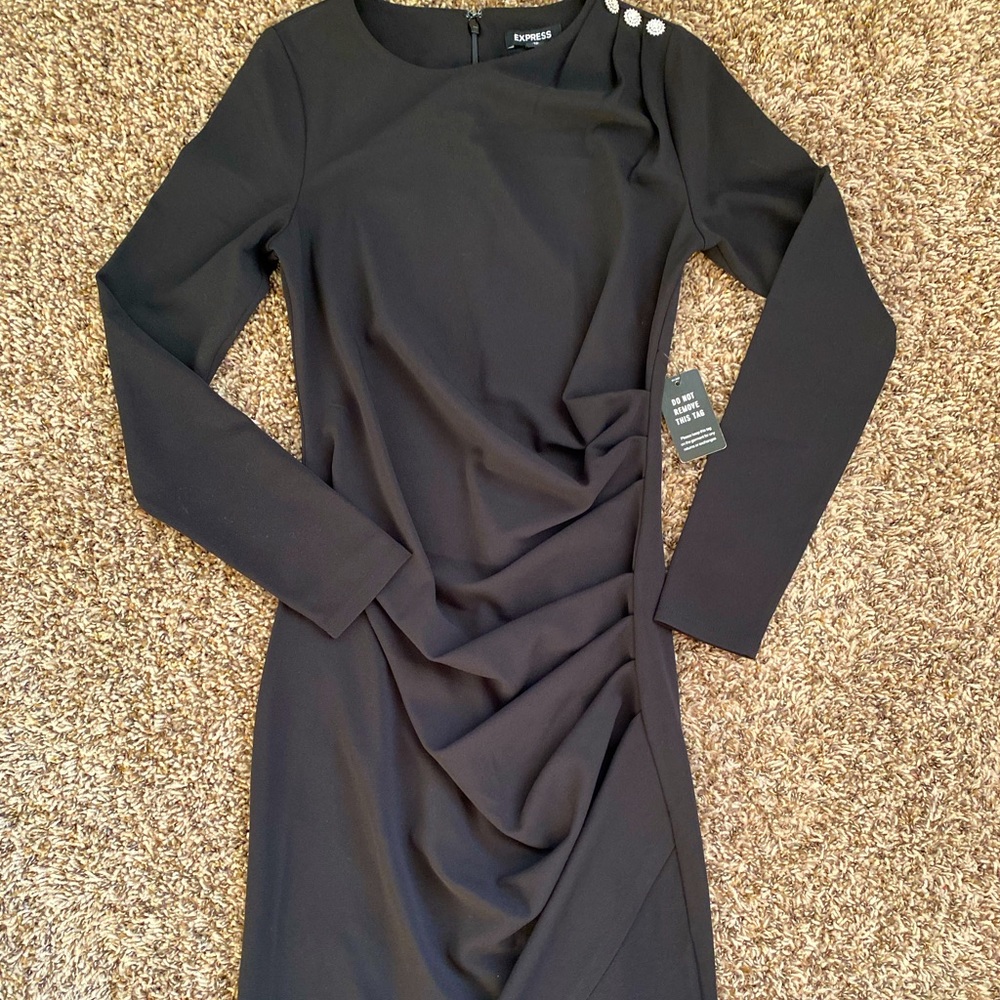 Black Long Sleeved Ruched Express Dress